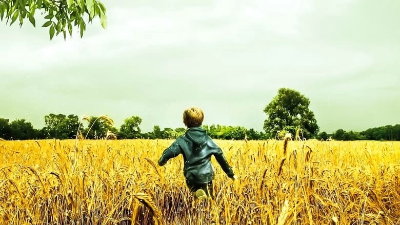 Fireflies In The Garden (2008)