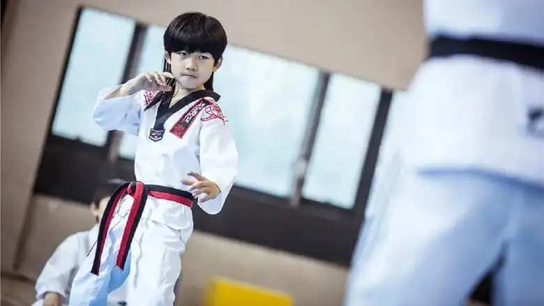 Kung Fu Boys (2016)