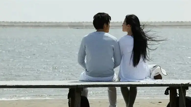 Love In Disguise (2010)