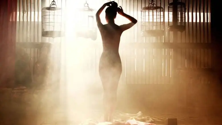 Portrait Of A Beauty (2008)