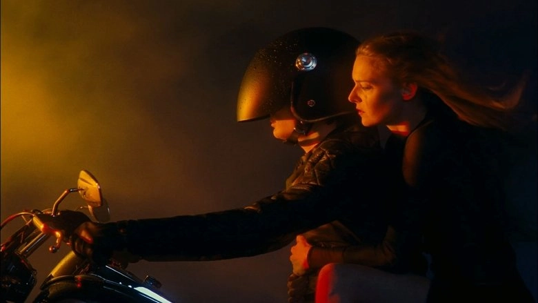 You And The Night (2013)