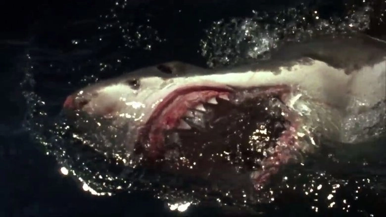 Shark Zone (2003)