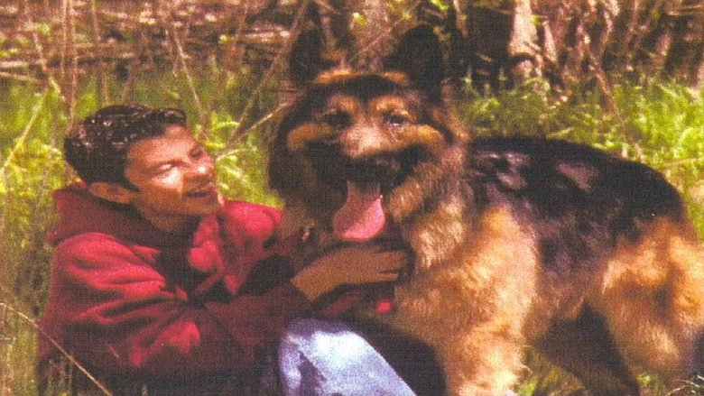 Bring Him Home (2000)