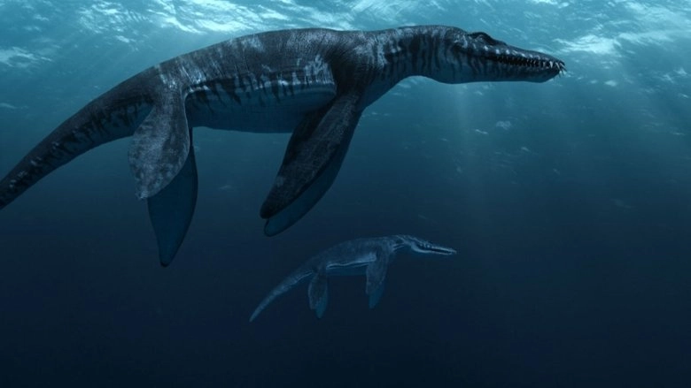 Sea Rex 3D: Journey To A Prehistoric World (2010)