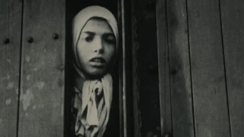 Night And Fog (1959)