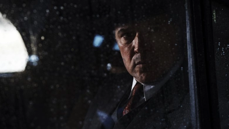 Ve Stinu (2012)