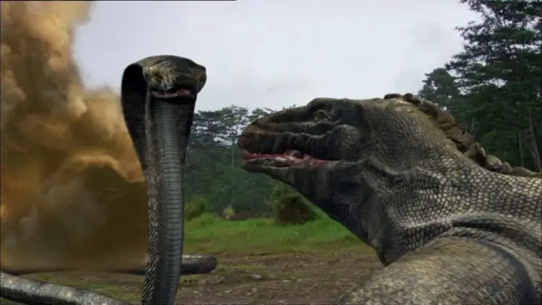 Komodo Vs. Cobra (2005)