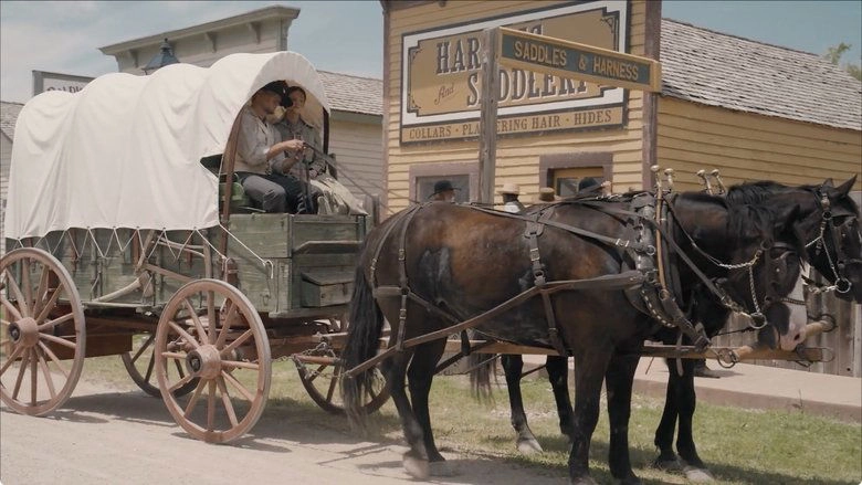 Sod And Stubble (2025)