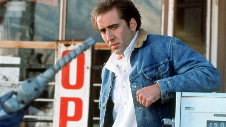 Red Rock West (1993)