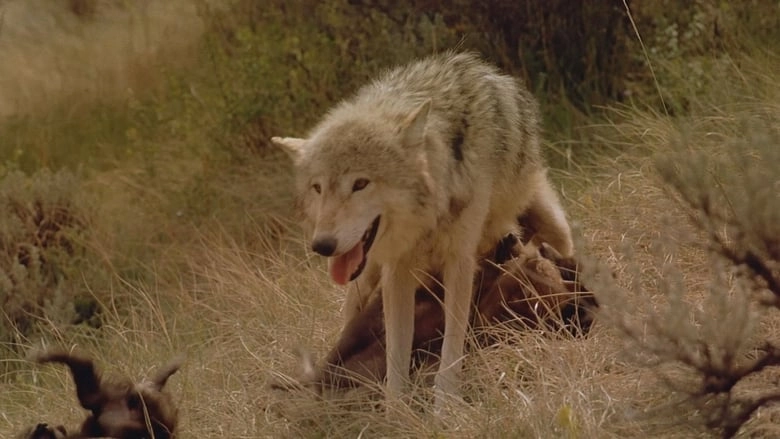 Wolves (1999)