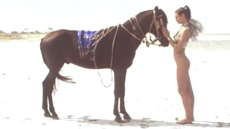Joy En Afrique (1992)