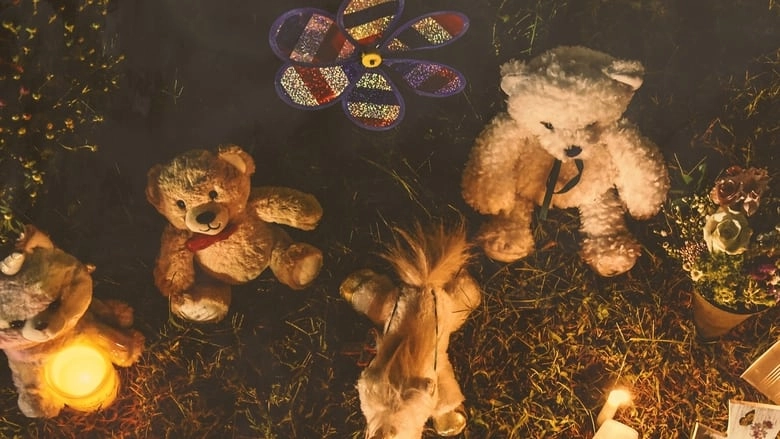 The Murder Of Gabby Petito: What Really Happened (2022)