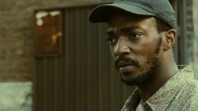 Shelter (2014)