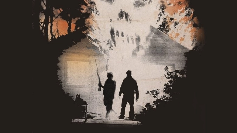 Resolution (2013)