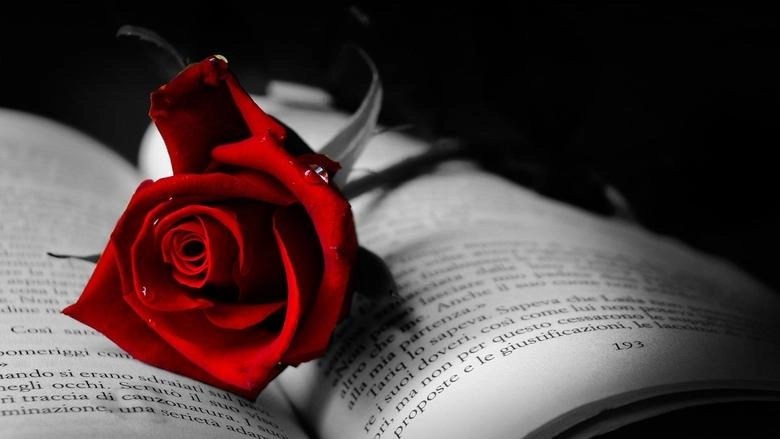 Red Rose (2005)