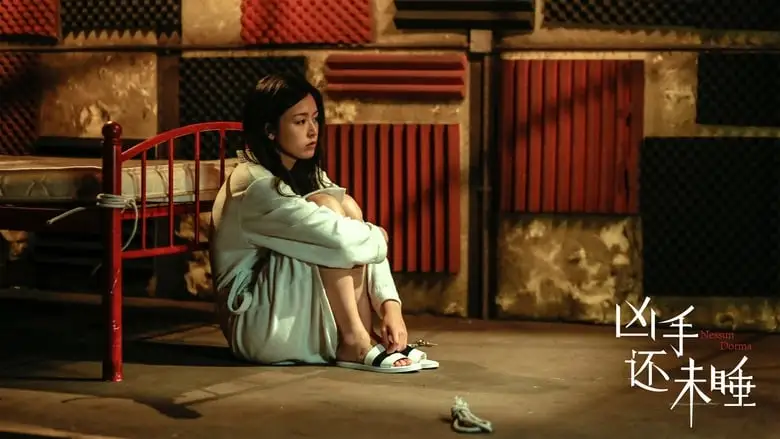 Nessun Dorma (2016)