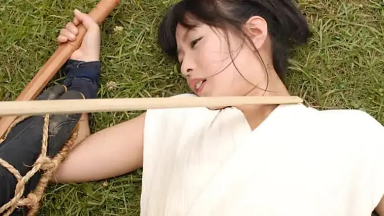 Lady Ninja Kasumi 10 (2010)