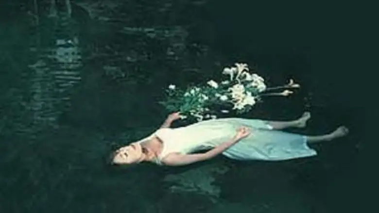 Akame Shijuya Taki Shinju Misui (2003)