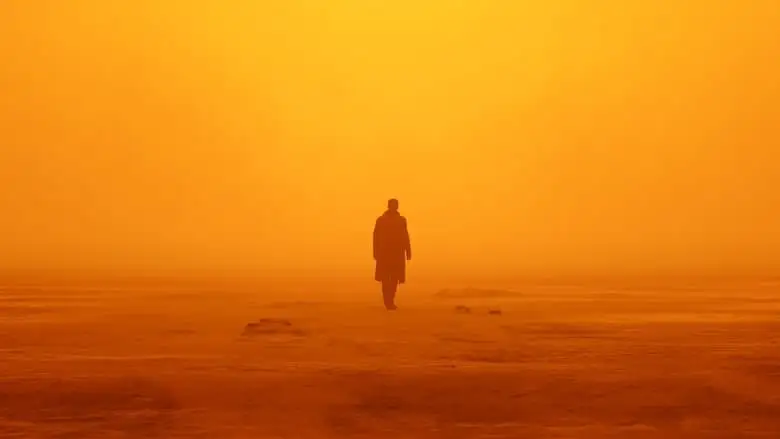 Blade Runner 2049 (2017)