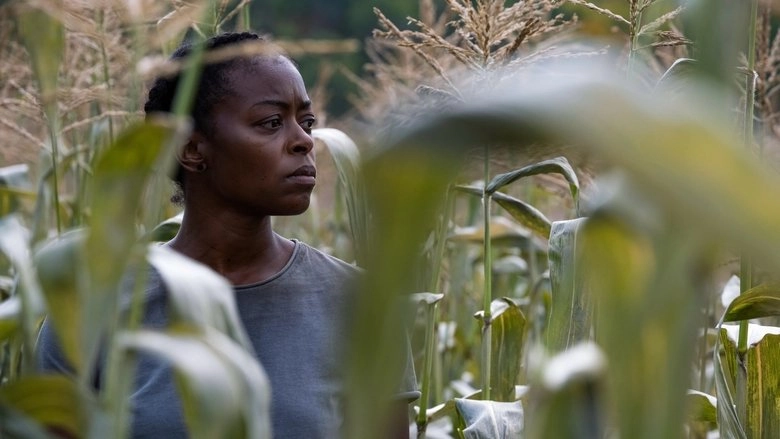 40 Acres (2025)