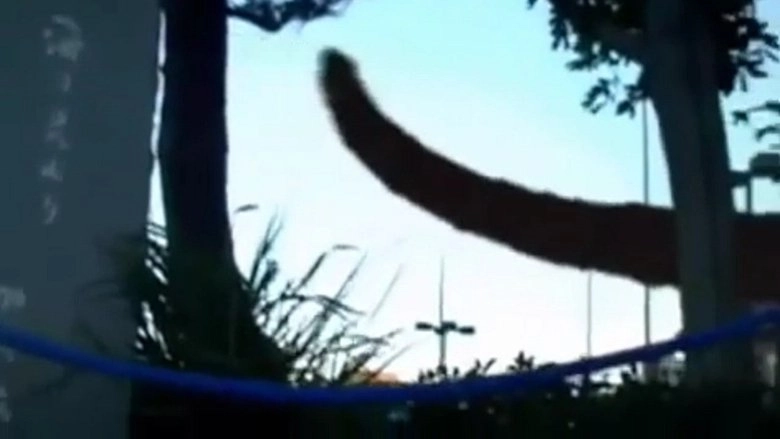 Monster (2008)