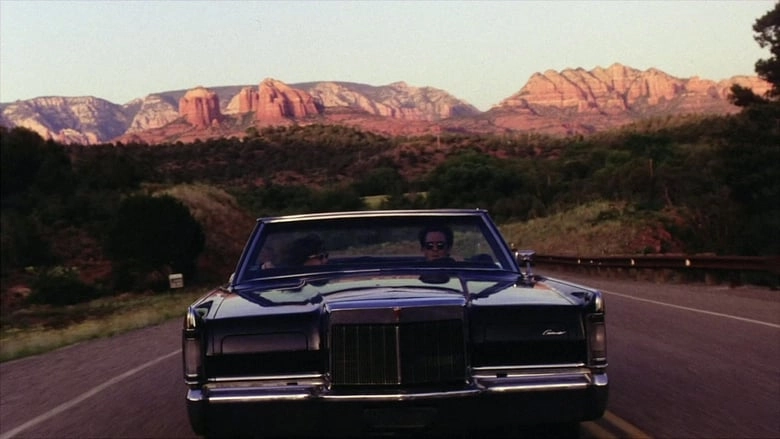 Trouble Bound (1993)