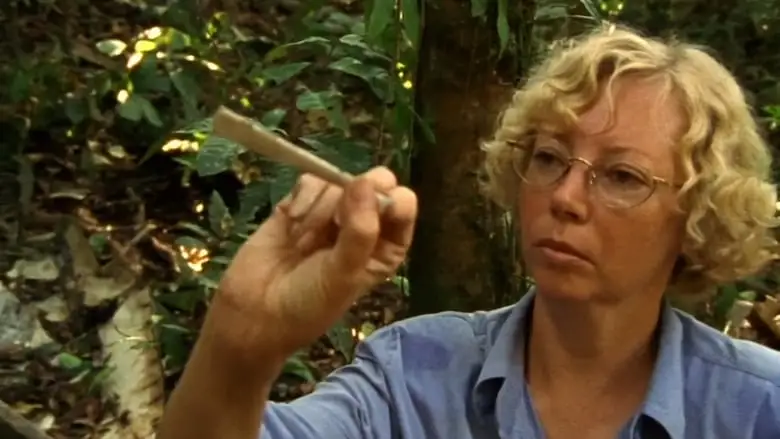 Julianes Sturz In Den Dschungel (2000)