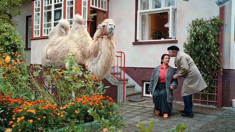 Big Animal (2000)