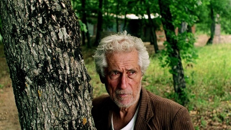 Clouds Of May (1999)