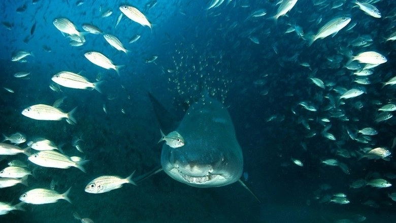 Deep Sea (2006)
