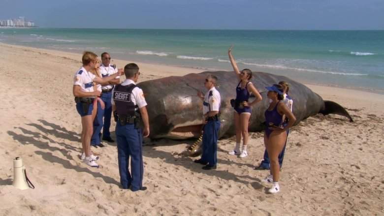 Reno 911! Miami (2007)