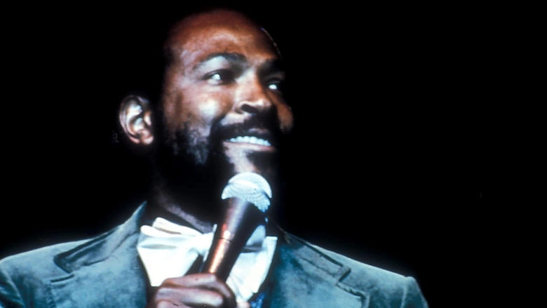 What's Going On The Life And Death Of Marvin Gaye (2008)