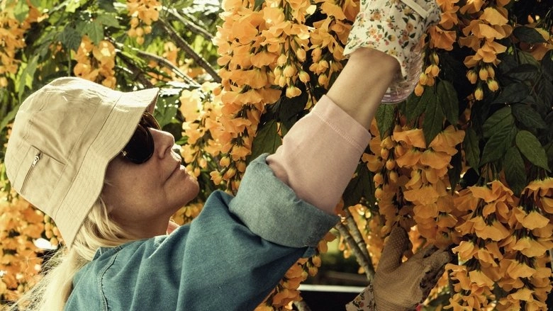 The Garden (2020)