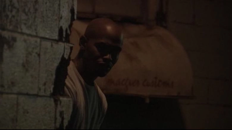 Caught In The Crossfire (2010)