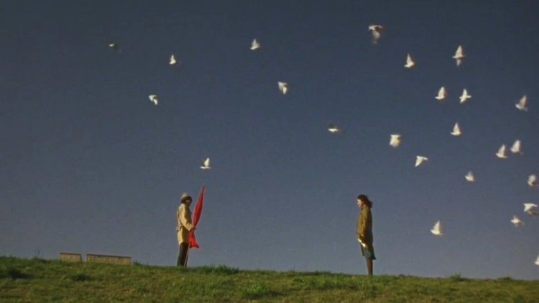 Laundry (2002)