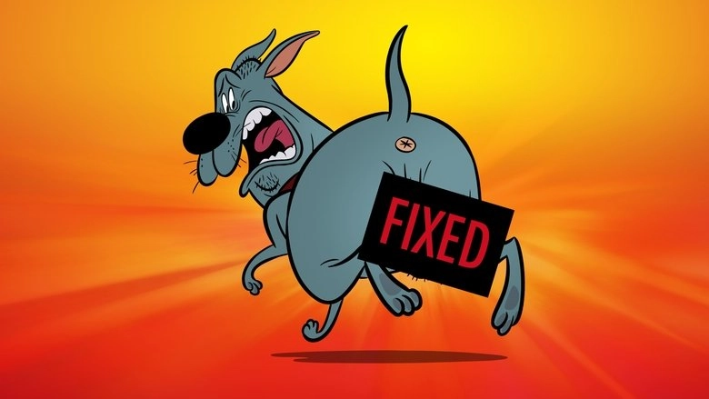 Fixed (2024)