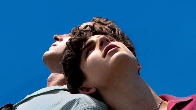 Call Me By Your Name (2017)