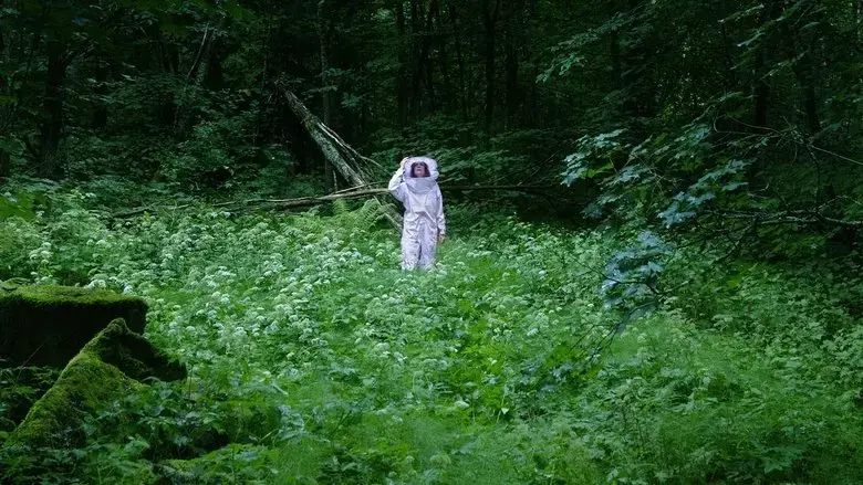 Summer of Bees (2021)