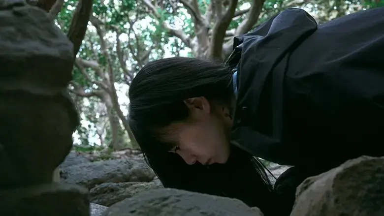 The Height of the Coconut Trees (2024)