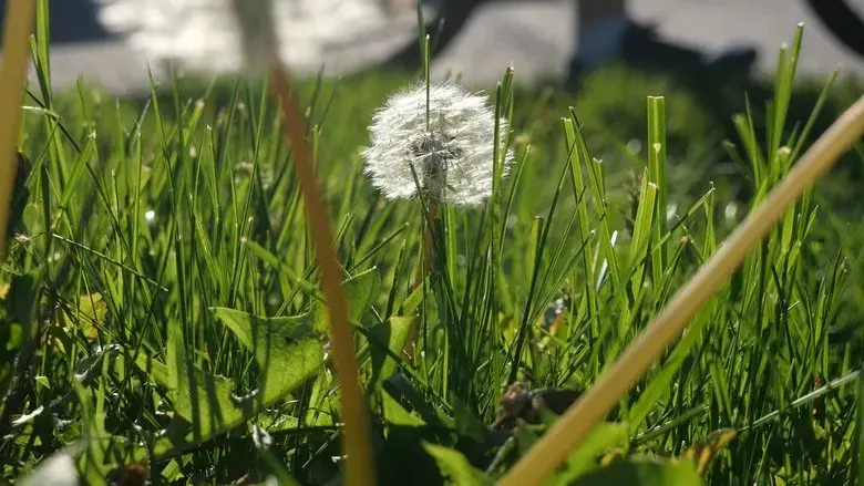 The Beauty Of Summer Like Weather (2024)