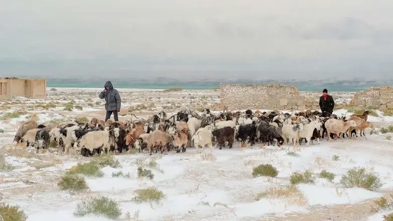 Dreams of the Salt Lake (2015)