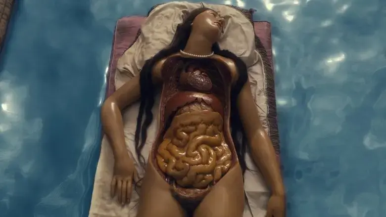 Four Unloved Women, Adrift on a Purposeless Sea, Experience the Ecstasy of Dissection (2023)