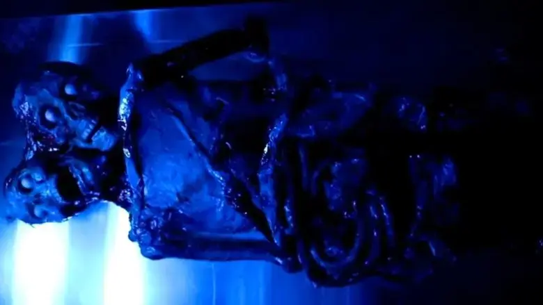Teratomorph (2019)
