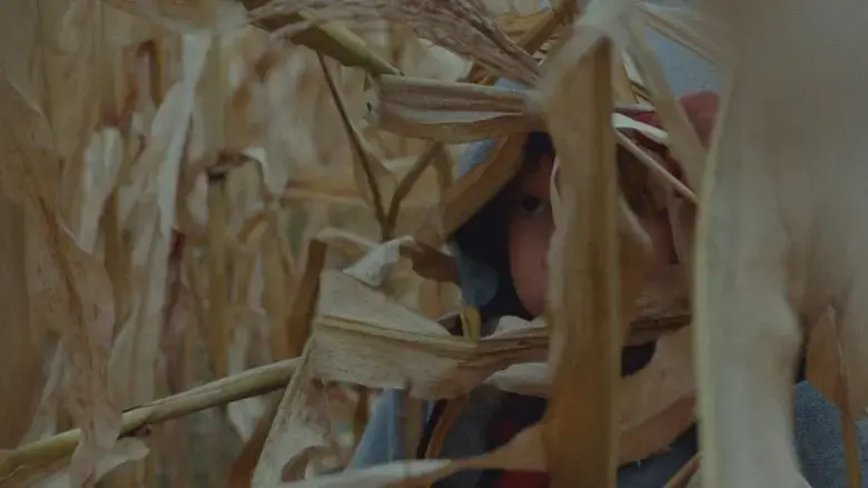 Forest (2024)