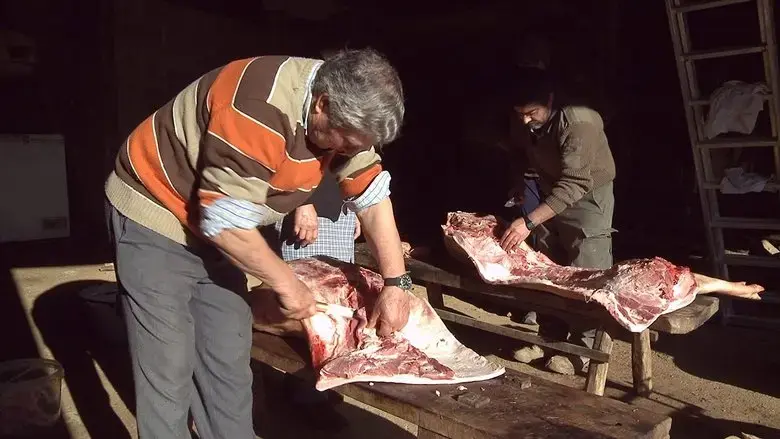 Alfaiao (2017)