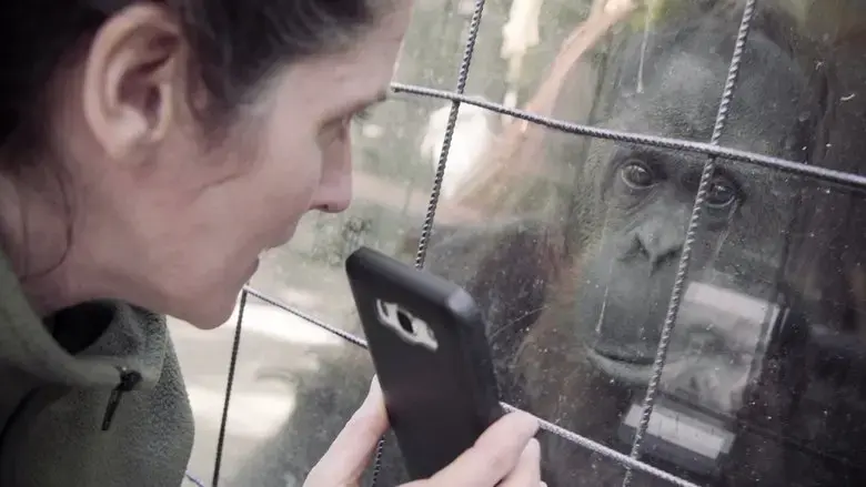 Zoofobia (2022)
