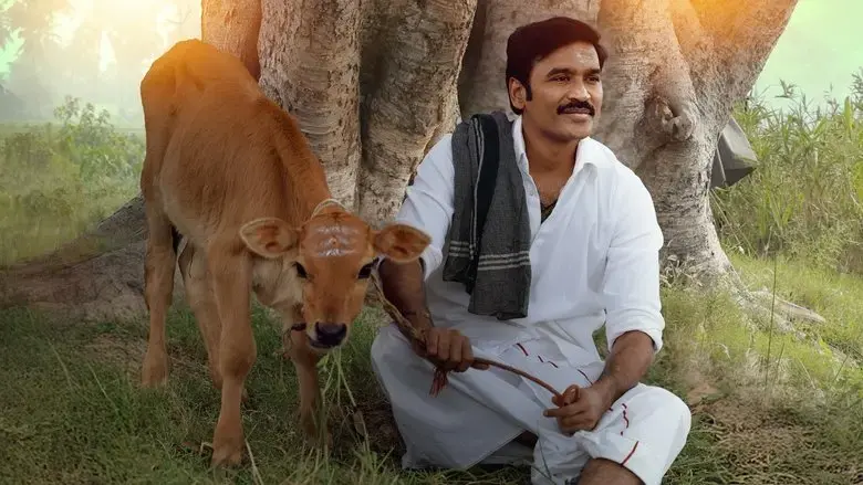 Idly Kadai (2025)