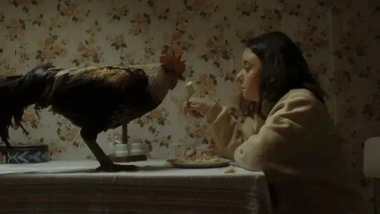 Beaks (2025)