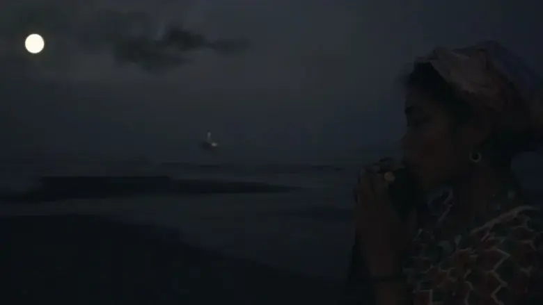 Between One Shore And Several Others (2021)