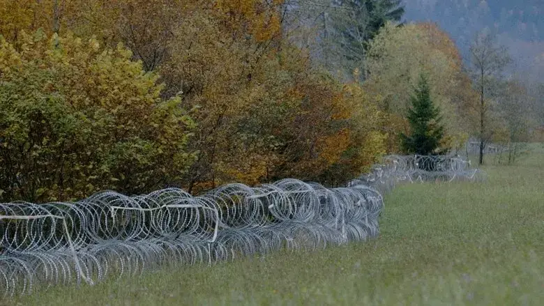 The Wire (2021)